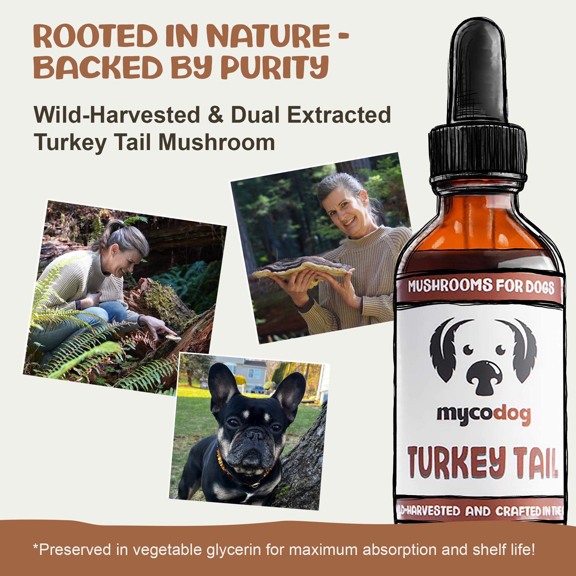 MycoDog Turkey Tail Mushroom for Dogs - Daily Immune Wellness Drops — Amazon image 3