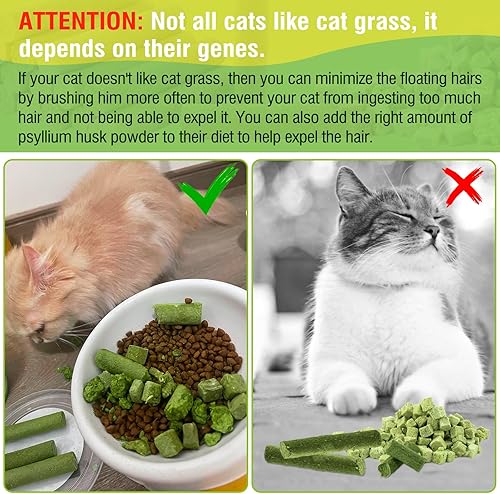 Miniatura 5 de Palitos de hierba para gatos de 1.06 oz, delicioso palo de dentición de hierba para gatos, comestible, juguete masticable, golosinas para gatos para