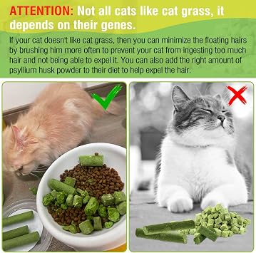 30g Cat Grass Sticks, Cat Grass Treats for Teeth Cleaning Hairball Removal | Delicious Cat Grass Teething Stick, Edible Cats Chew Toy, Cat Treats Snack for Dental Care