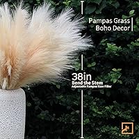 Vista 2 de ZIFTY Boho Decor - 7 piezas de hierba de las pampas sintética de 38"/3.1 pies, grande, alta y esponjosa, flores artificiales falsas, hierba bulrush