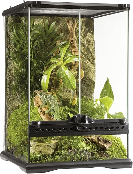 Exo Terra Terrarium aus Glas, mit einzigartiger Front Belüftung, 20 x 20 x 30cm - 3