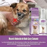 Ver la foto 3
