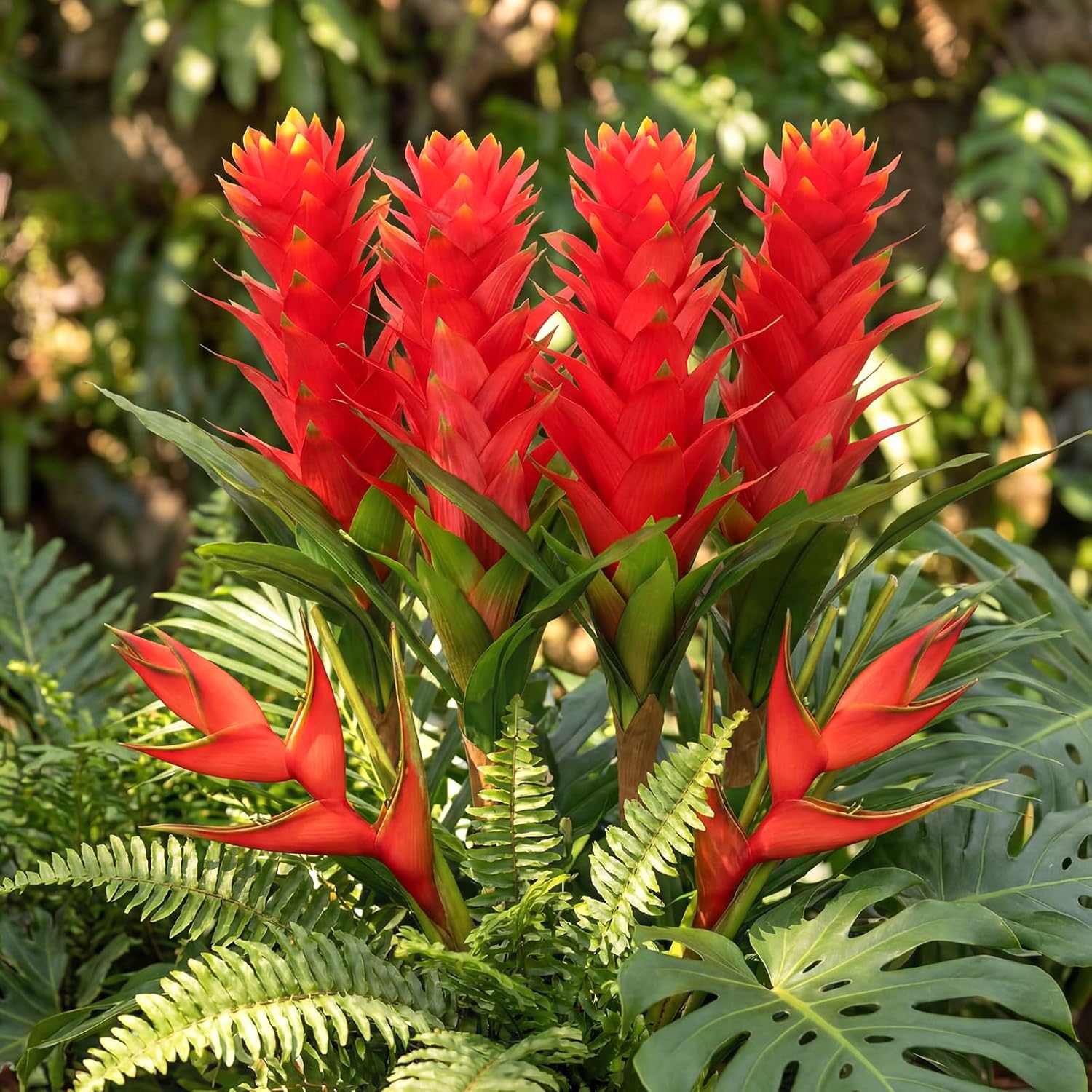 Hotop 4 Pcs 16 Inch Red Bromeliad Artificial Tropical Flowers, Silk Real to Touch Indoor Faux Tropical Imitation Plant Flower for Vase Table Centerpieces, Home, Kitchen, Shelf and Office Decor