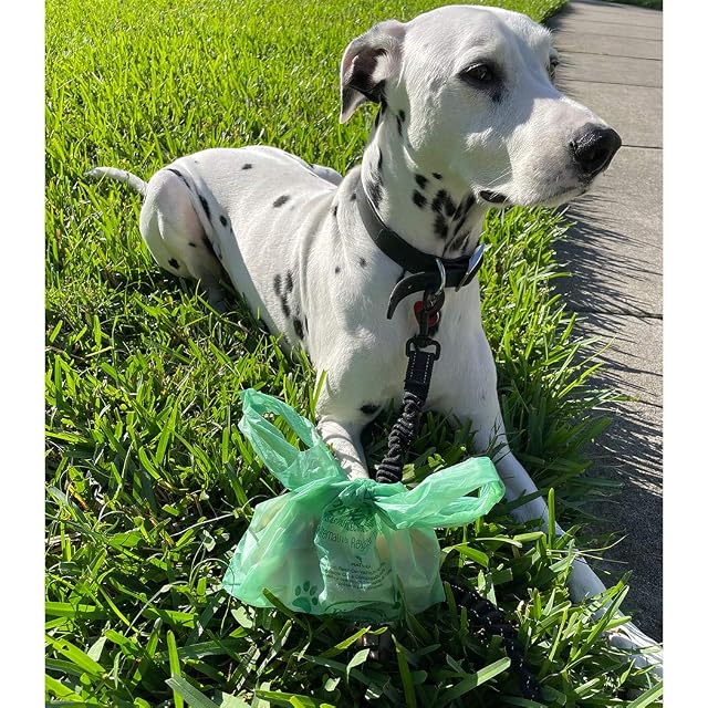 Foto 5 de 5 de Bio Bag Premium Bolsas de residuos de mascotas con asas, tamaño estándar, 150 unidades