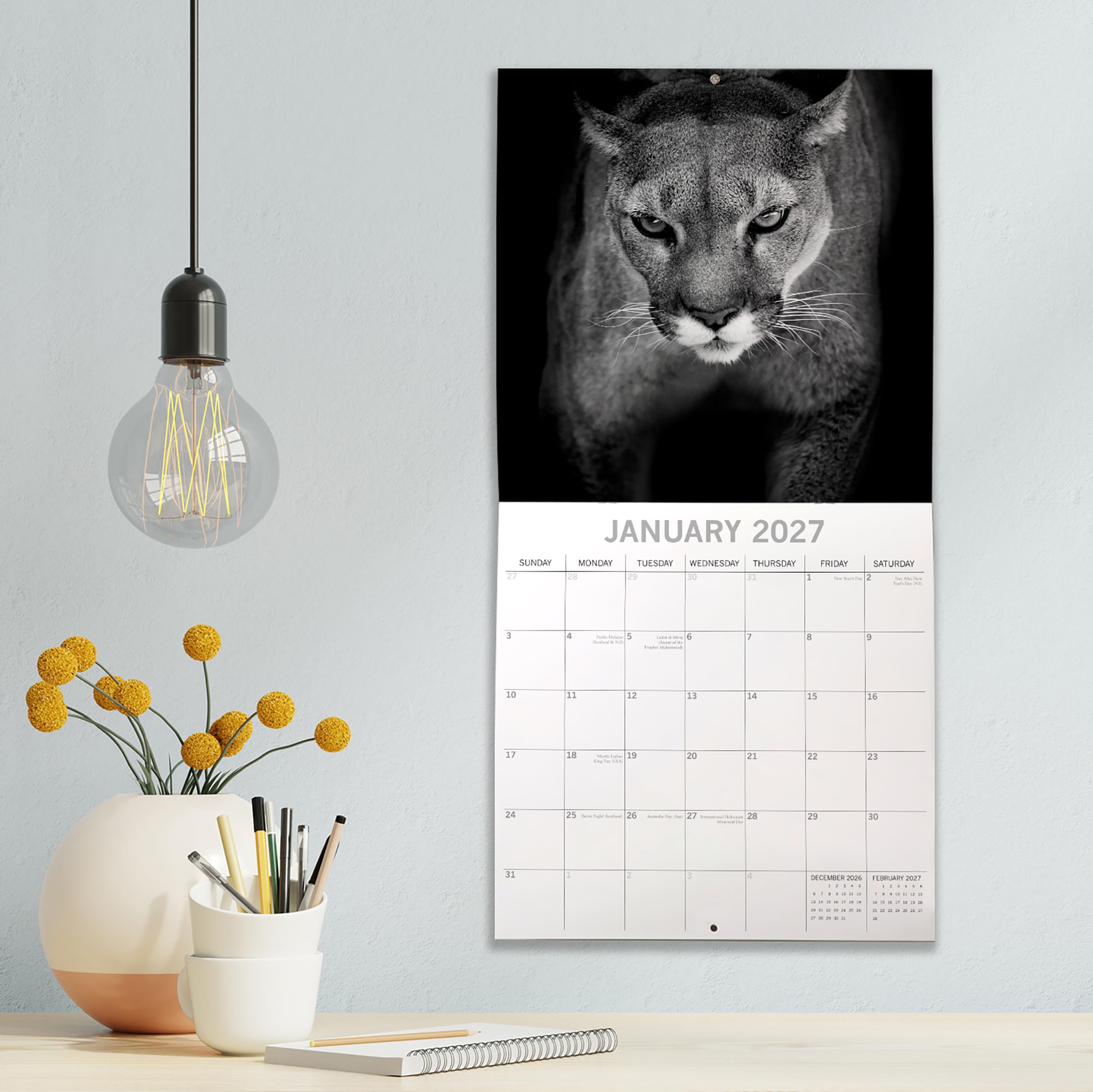 View 2