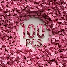 2x2 Bricks Bulk 100 Pieces, Classic Basic Parts Building Creative Play Set Blocks Toy Accessories Compatible with Lego 3003 Major Brands Pink