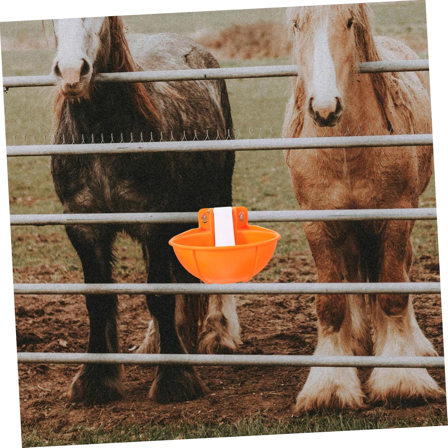 Toyvian 1set Automatic Cow Water Feeder Heavy-Duty Water Dispenser for Cattle Easy to Install and Clean for Livestock Hydration Needs