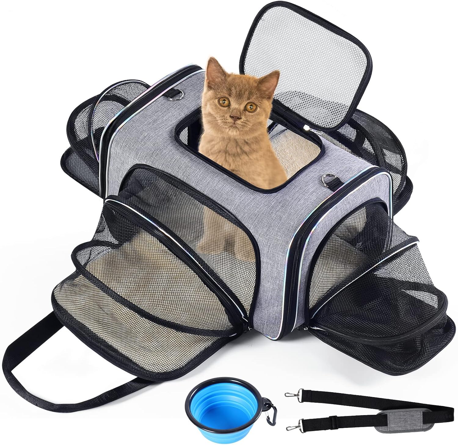 Pet Travel Carrie 4 Sides Airline Approved Expandable Foldable Soft Side Cat Carrier Pet Transport Carrier，Pet Travel Bag Safe and Easy for Cats and Dogs (Large) : Pet Supplies