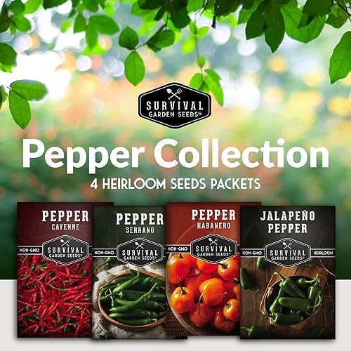 Miniatura 2 de Survival Garden Seeds Bóveda de semillas de colección de pimientos picantes  Cayena, Habanero, Jalapeño y Serrano Paquetes de semillas para cultivar