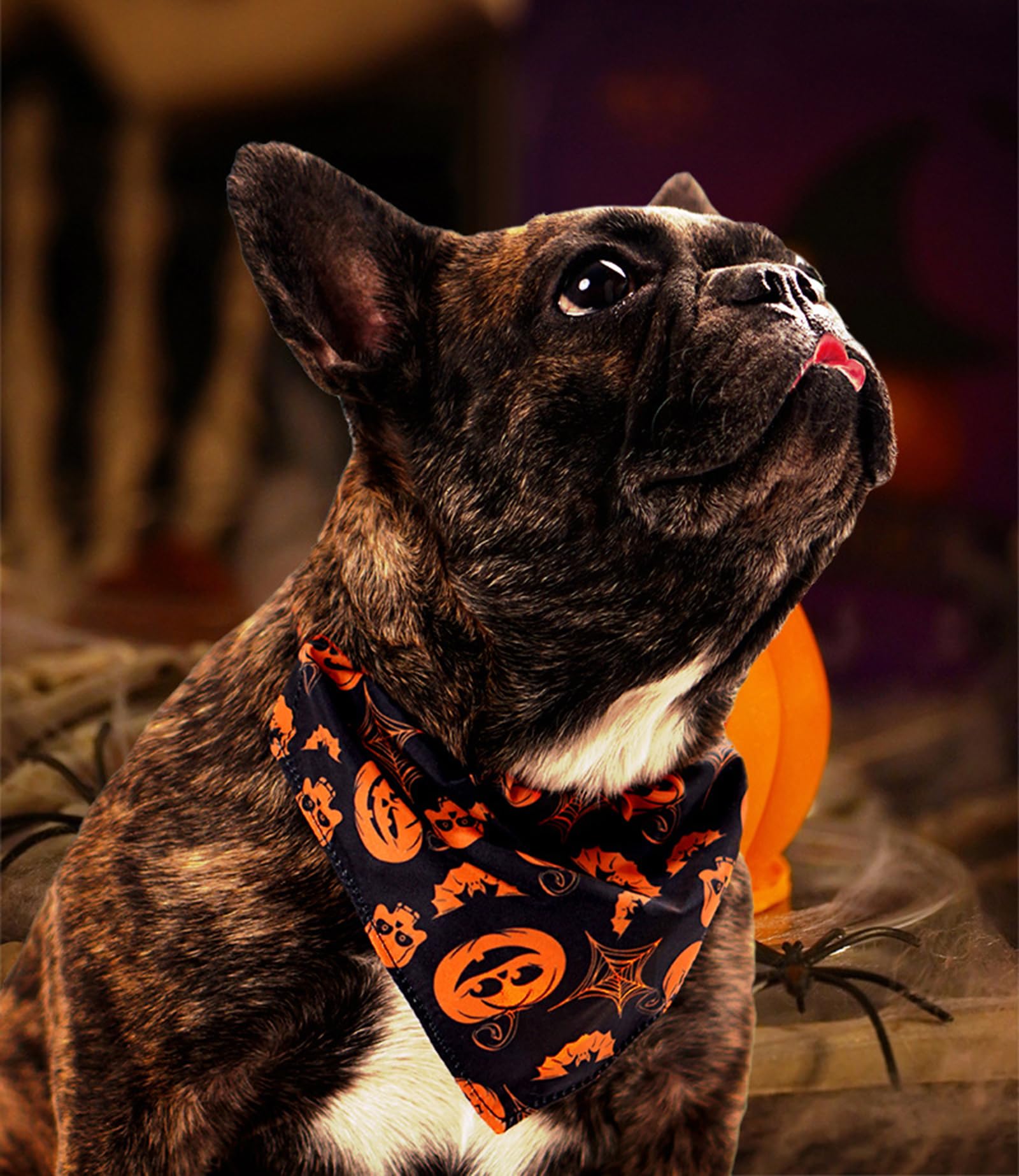 BT Bear Halloween Dog Bandanas,Dog Halloween Costume Pet Collar Pumpkin Ghost Bat Pet Scarf for Medium Large Dogs (L,Black Ghost) - Image 2