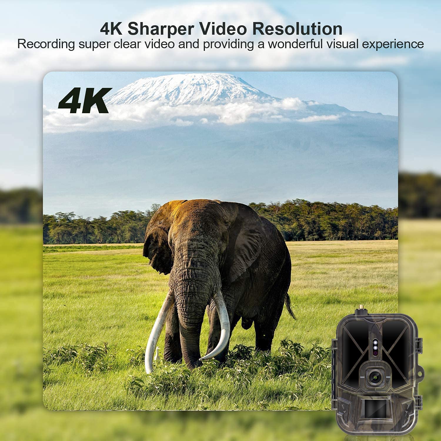 Kamera myśliwska leśna 4G 4K 30MP APP HD wideo na żywo, Bateria litowa 10000 mAh dzika przyroda do gier z noktowizorem na podczerwień, kamera monitoringowa zasięg noktowizora o długości 25m