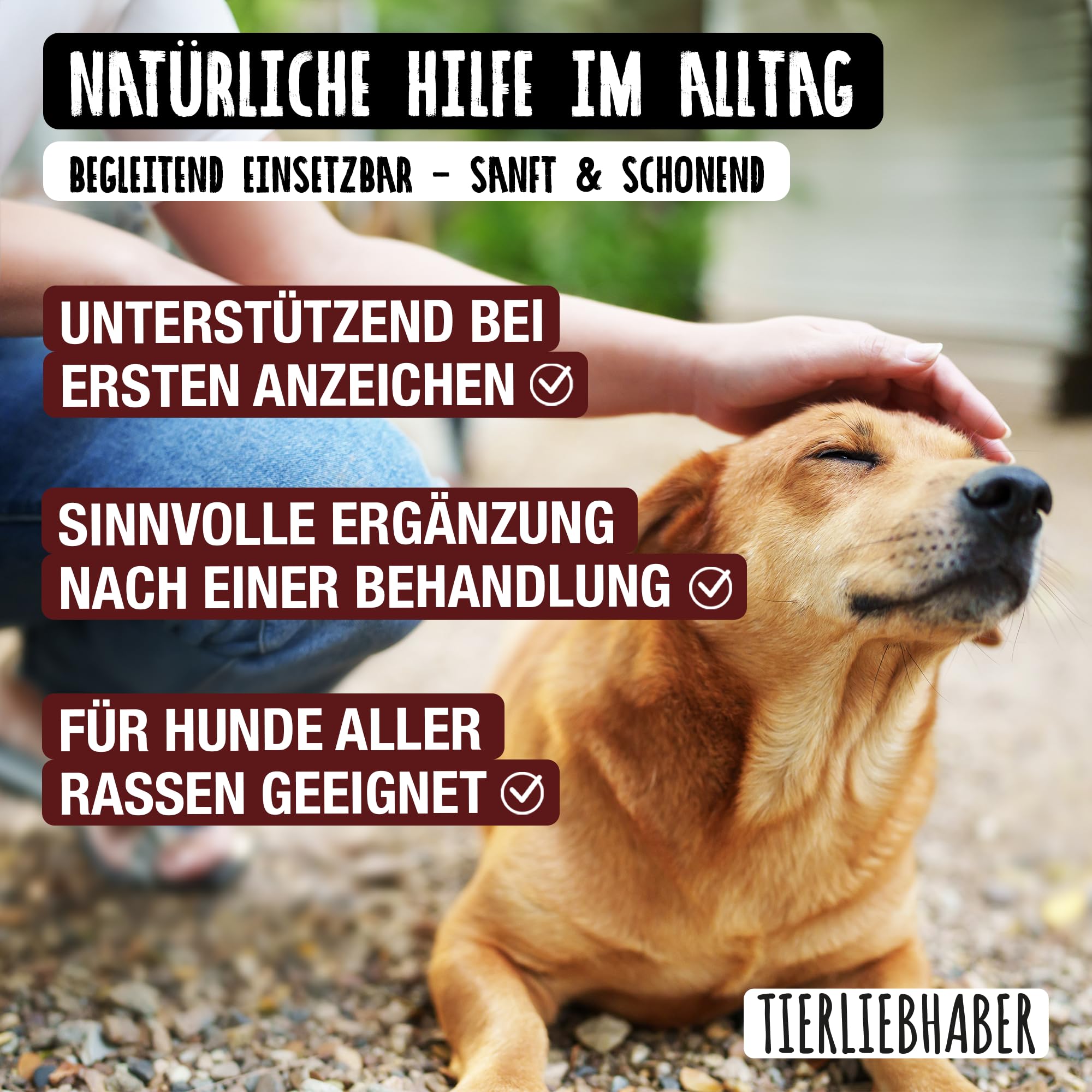 TIERLIEBHABER Nieren Leckerli Hund – Nierenfutter Hund als Hundeleckerli | Tierärztlich entwickelte Harn & Nieren Drops – Als Unterstützung der Blasen- und Nierenfunktion – 350g