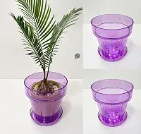 RISEON Pacote com 3 potes de orquídea de plástico acrílico transparente com furos e pires, vaso de acrílico grosso, orquídea Dendrobium Oncidium Cattleya para repotting para ambientes internos e