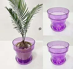 RISEON Pacote com 3 potes de orquídea de plástico acrílico transparente com furos e pires, vaso de acrílico grosso, orquídea Dendrobium Oncidium Cattleya para repotting para ambientes internos e