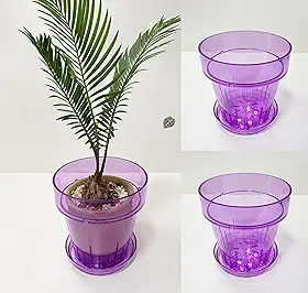 RISEON Pacote com 3 potes de orquídea de plástico acrílico transparente com furos e pires, vaso de acrílico grosso, orquídea Dendrobium Oncidium Cattleya para repotting para ambientes internos e