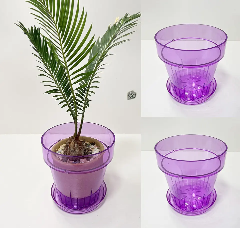 RISEON Pacote com 3 potes de orquídea de plástico acrílico transparente com furos e pires, vaso de acrílico grosso, orquídea Dendrobium Oncidium Cattleya para repotting para ambientes internos e