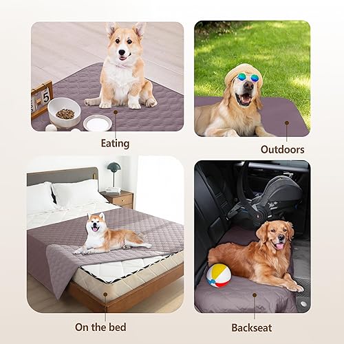 Miniatura 107 de gogobunny Manta impermeable 100 % de doble cara para perro, funda suave para cama de mascotas, reversible, protege muebles, sofá, auto para Beige