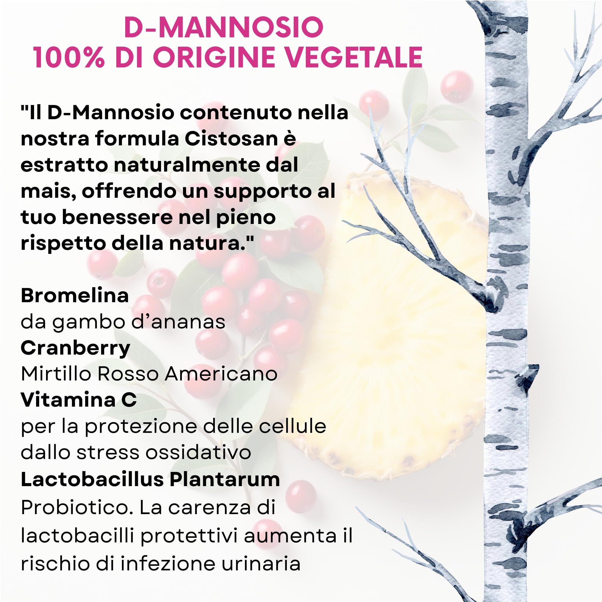 Integratore Cistite con D-Mannosio Puro 2000 mg Bromelina Mirtillo Rosso Fermenti lattici Vitamina C Per Favorire La Funzionalità Vie Urinarie Vegano 60 capsule Cistosan Agips Farmaceutici