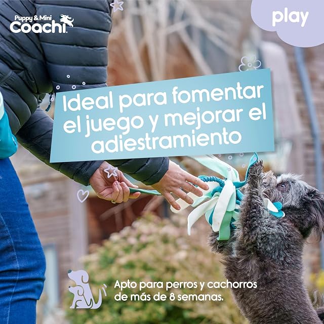 Foto 2 de 6 de Juguete Coachi Puppy & Mini Tuggi Spider - Para perros y cachorros