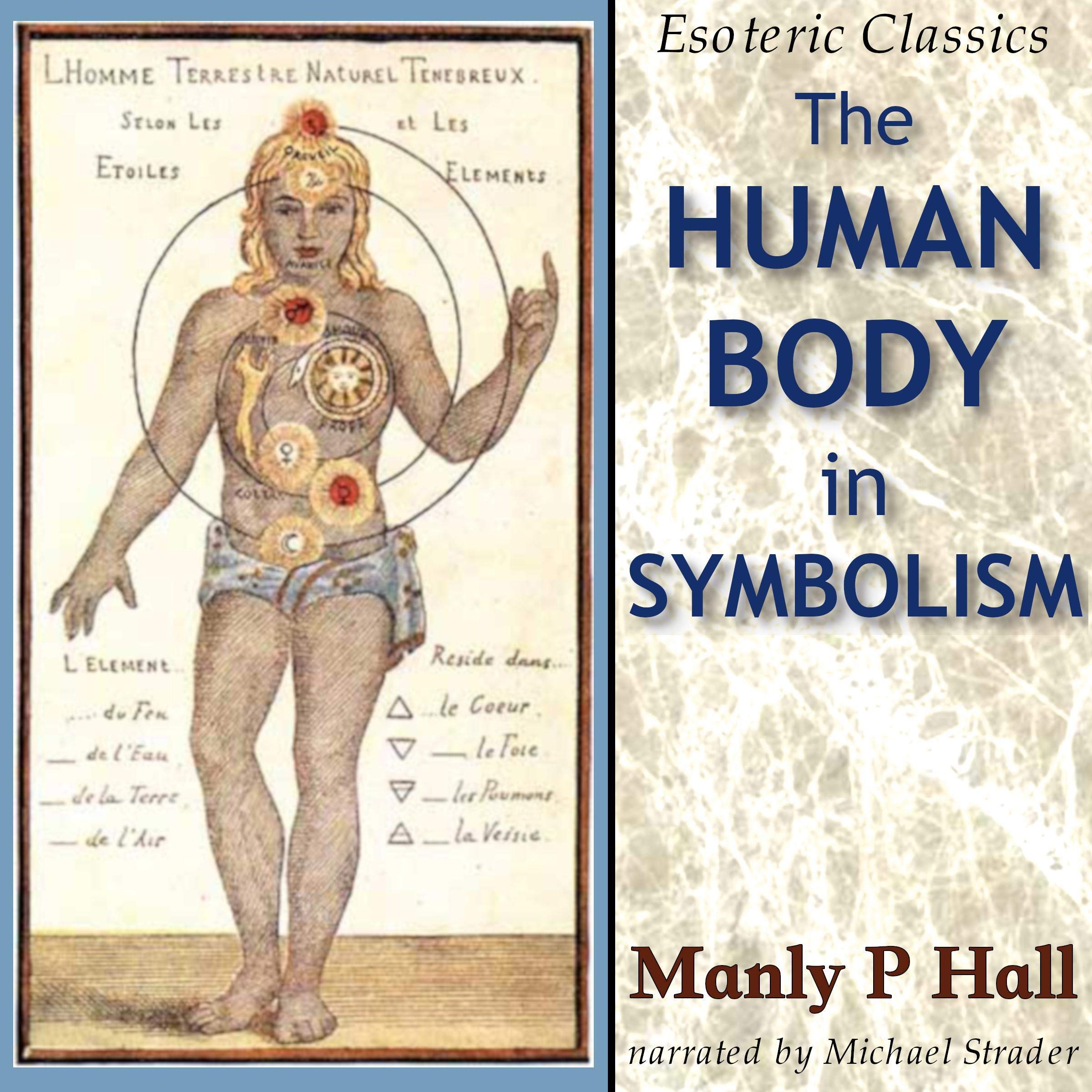 Cover art for The Human Body in Symbolism