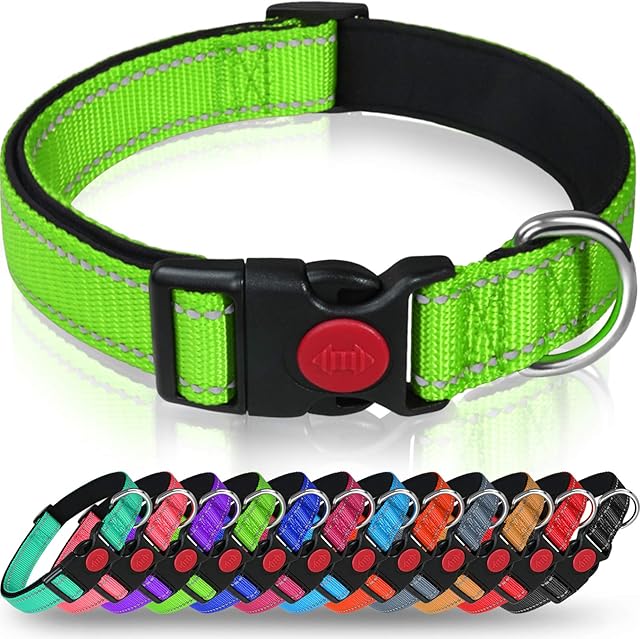 Taglory Reflective Nylon Dog Collar with Safety Buckle, Adjustable Pet Collars with Soft Neoprene Padding for Small Dogs, Green