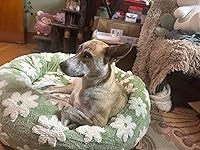 Review Image by heyshadylady heyshadylady