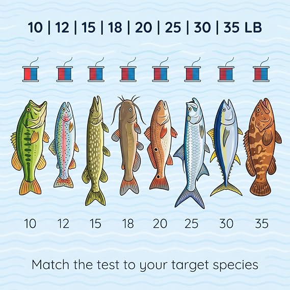 Colored Monofilament Fishing Line, Red Blue Two-Tone, 300/500/1000yds, 10-35lb Test, High Contrast Bite Detection, Abrasion Resistant Low Memory for Freshwater Saltwater