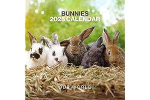 Bunny Calendar 2022: Cute Rabbit Lover's Wall Calendar