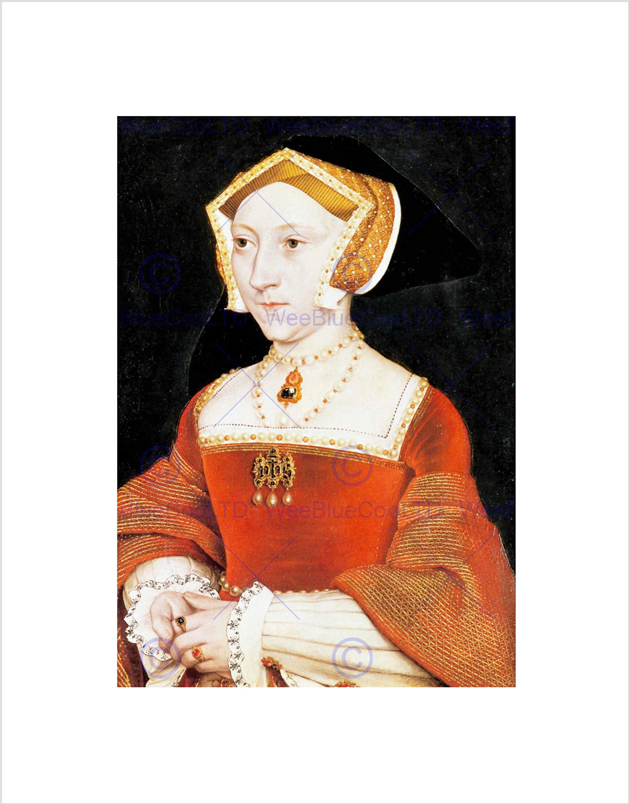 Wee Blue Coo Painting Antique Holbein Junior Tudor Queen Jane Seymour Wall Art Print