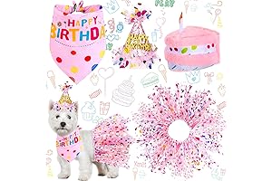 Adorable Girl Dog Birthday Outfit: A Perfect Party Ensemble