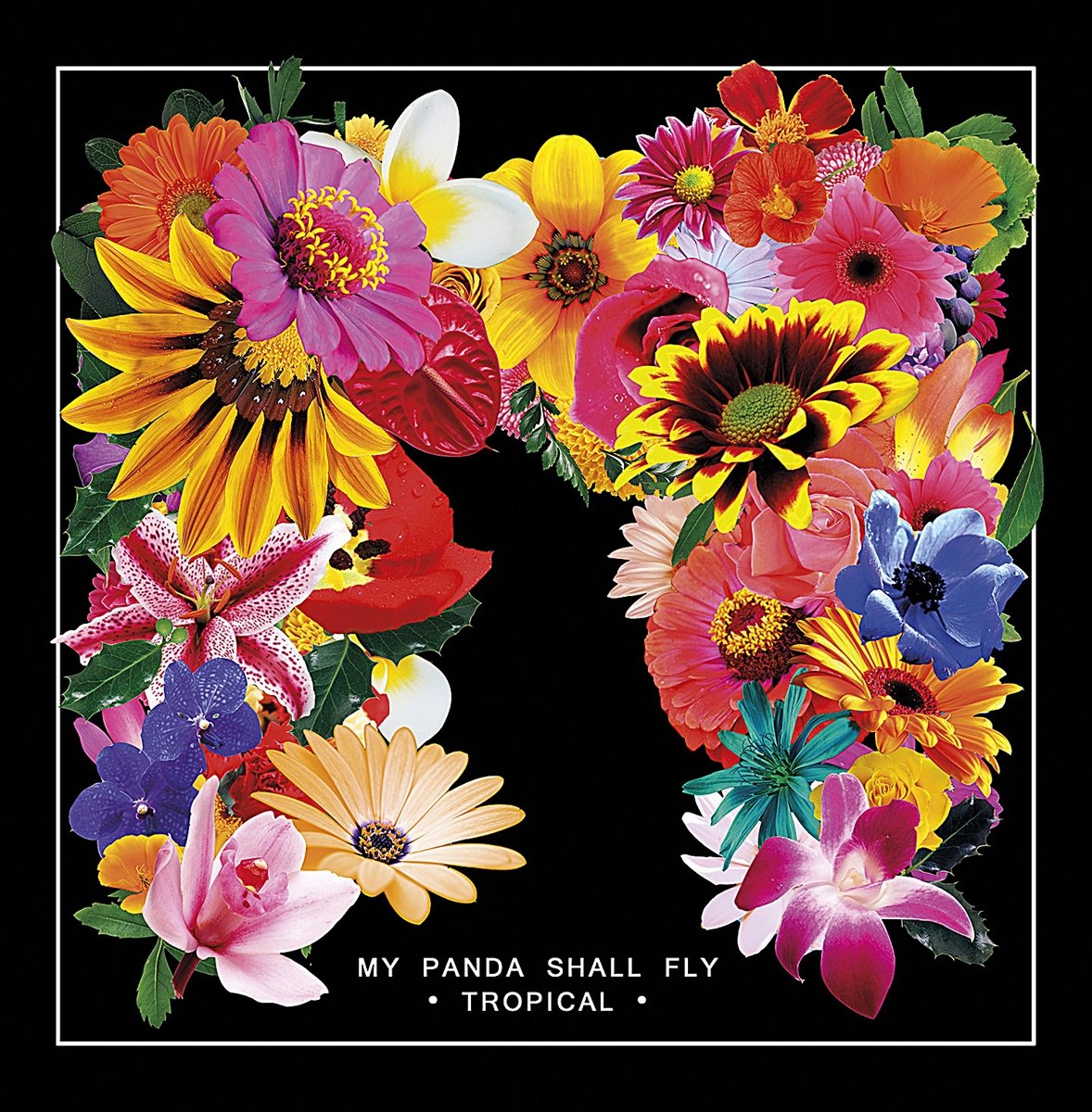 Tropical [VINYL]