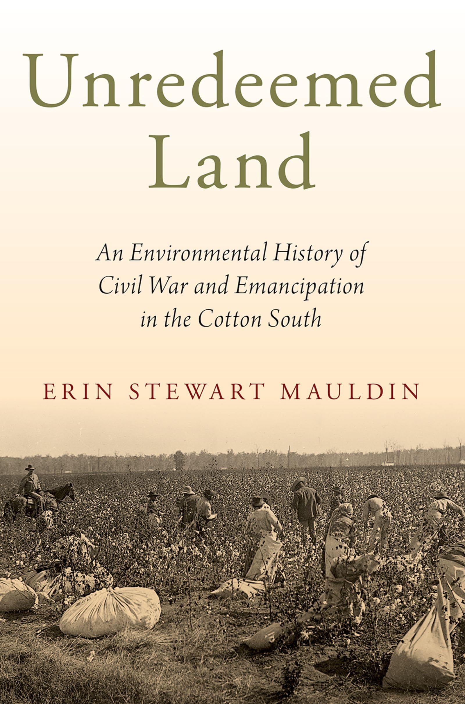 Unredeemed Land: An Environmental History of Civil War and Emancipation ...