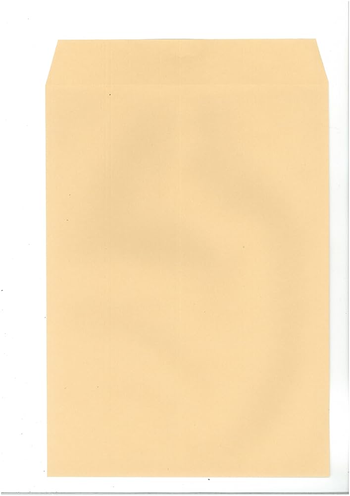 Amazon.com : Suzuki Paper Industry K2-100P Kraft Envelopes