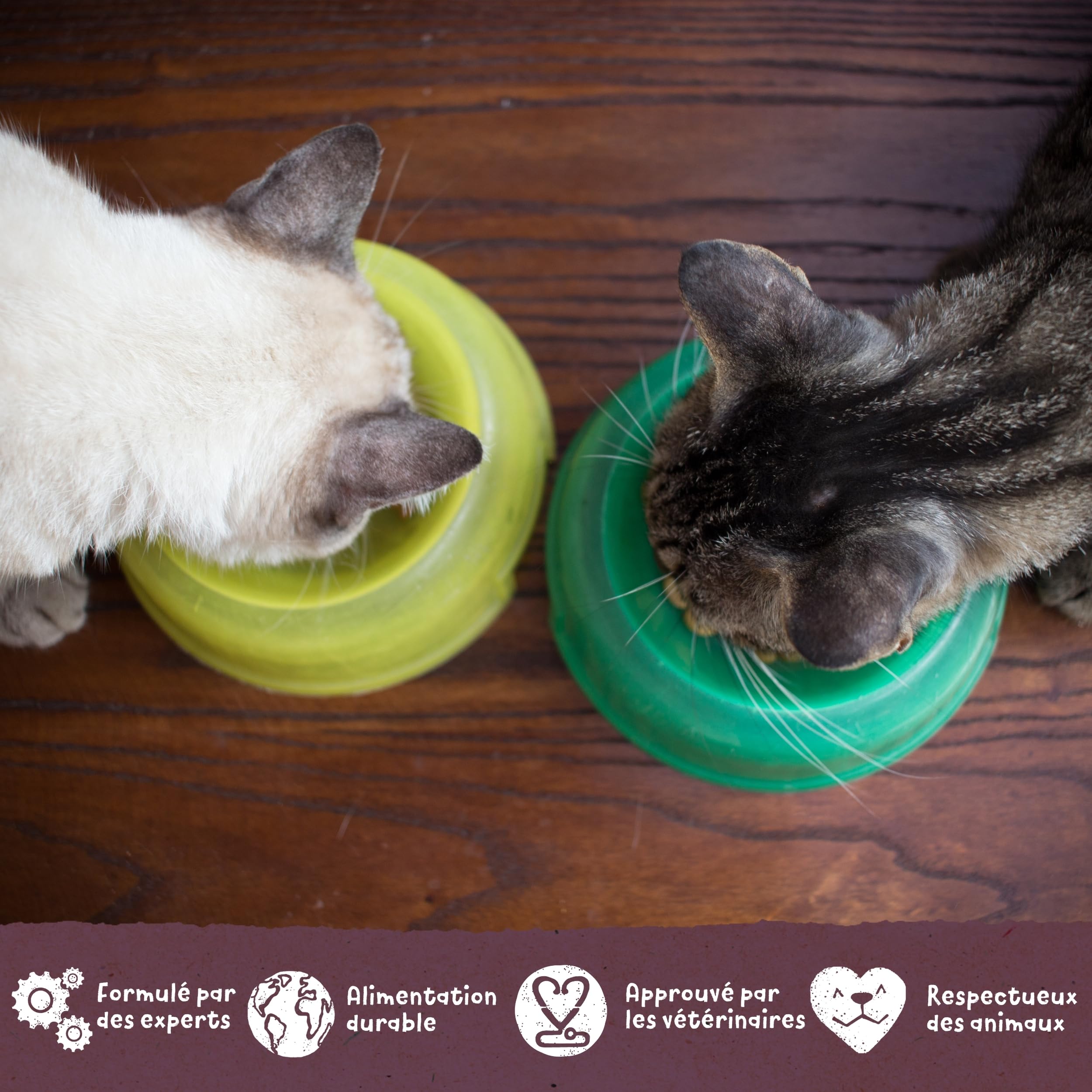 Benevo Végétaliennes Nourriture pour Chats 10kg - Vollständiges Alimentation sèche, Hypoallergénique