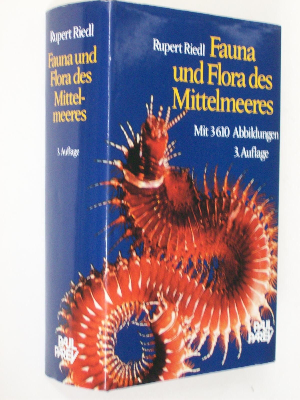 Fauna und Flora des Mittelmeeres. Ein systematischer Meeresführer für Biologen und Naturfreunde
