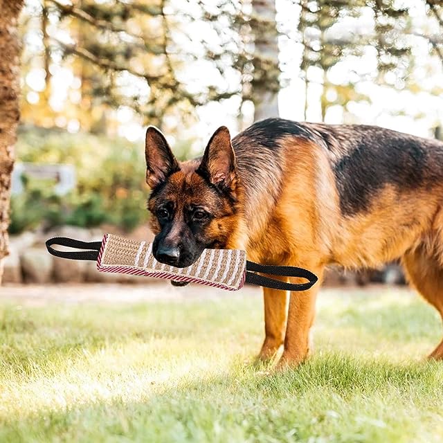 Foto 7 de 7 de JOKILY Juguetes para perros, 2 piezas de salchichas mordedoras con 2 asas
