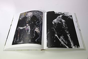 81-fvj4praL._AC_UF350,