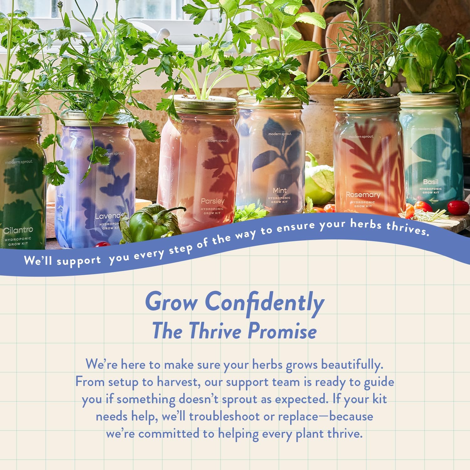 Modern Sprout Mason Garden Jar - Self-Watering Hydroponics Growing System Kit with Organic Herb Seeds - Jar Planter for Indoor Herb Garden - Seed Starter Kit - Home Decor & Gifting - Lavender