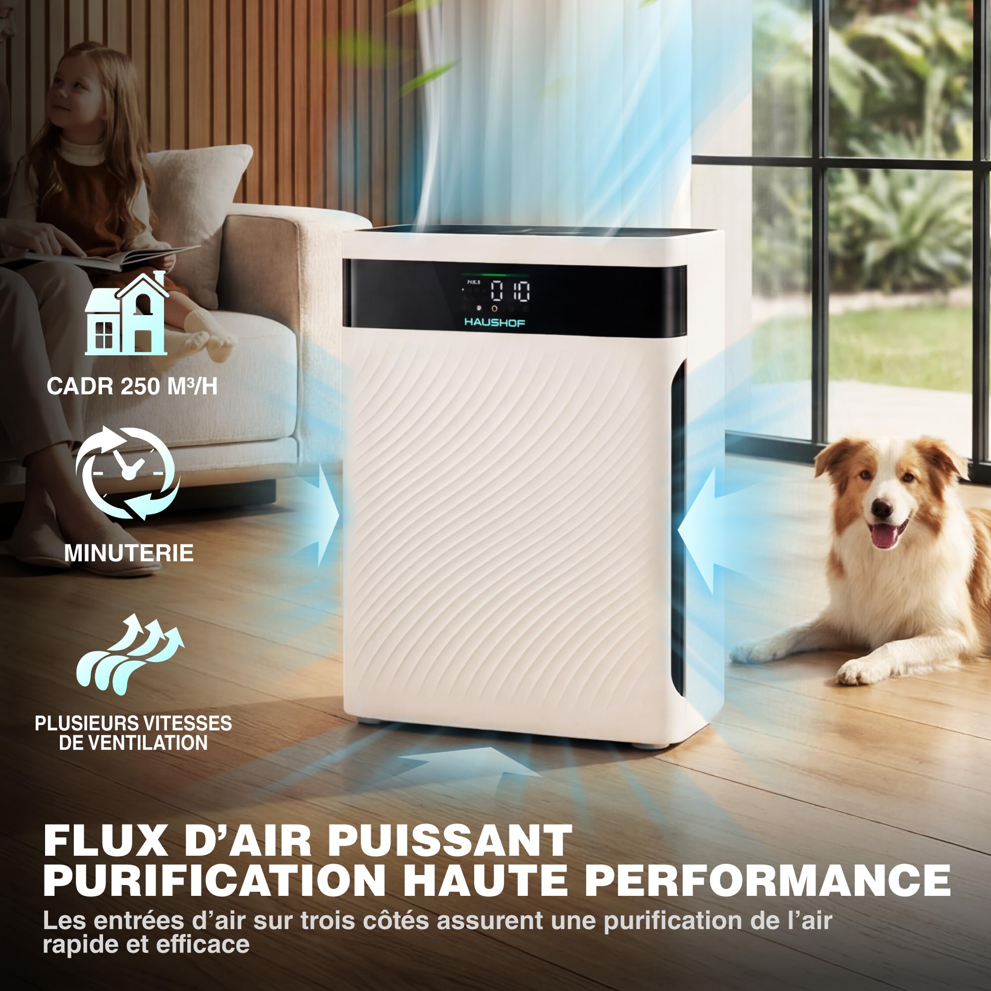 HAUSHOF Purificateur d’Air HEPA H13 CADR 250 m³/h