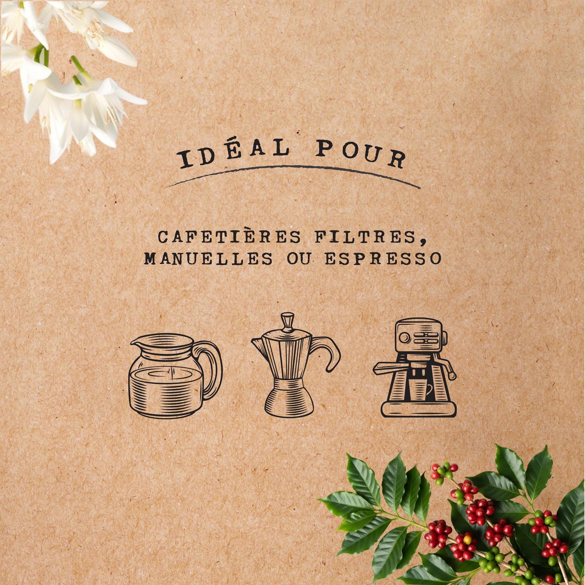 Cafés Méo - Café Moulu Espresso - 6 kg - Intensité 9/10 - Arômes Authentiques, Aromatique - Lot de 6 x 1 kg