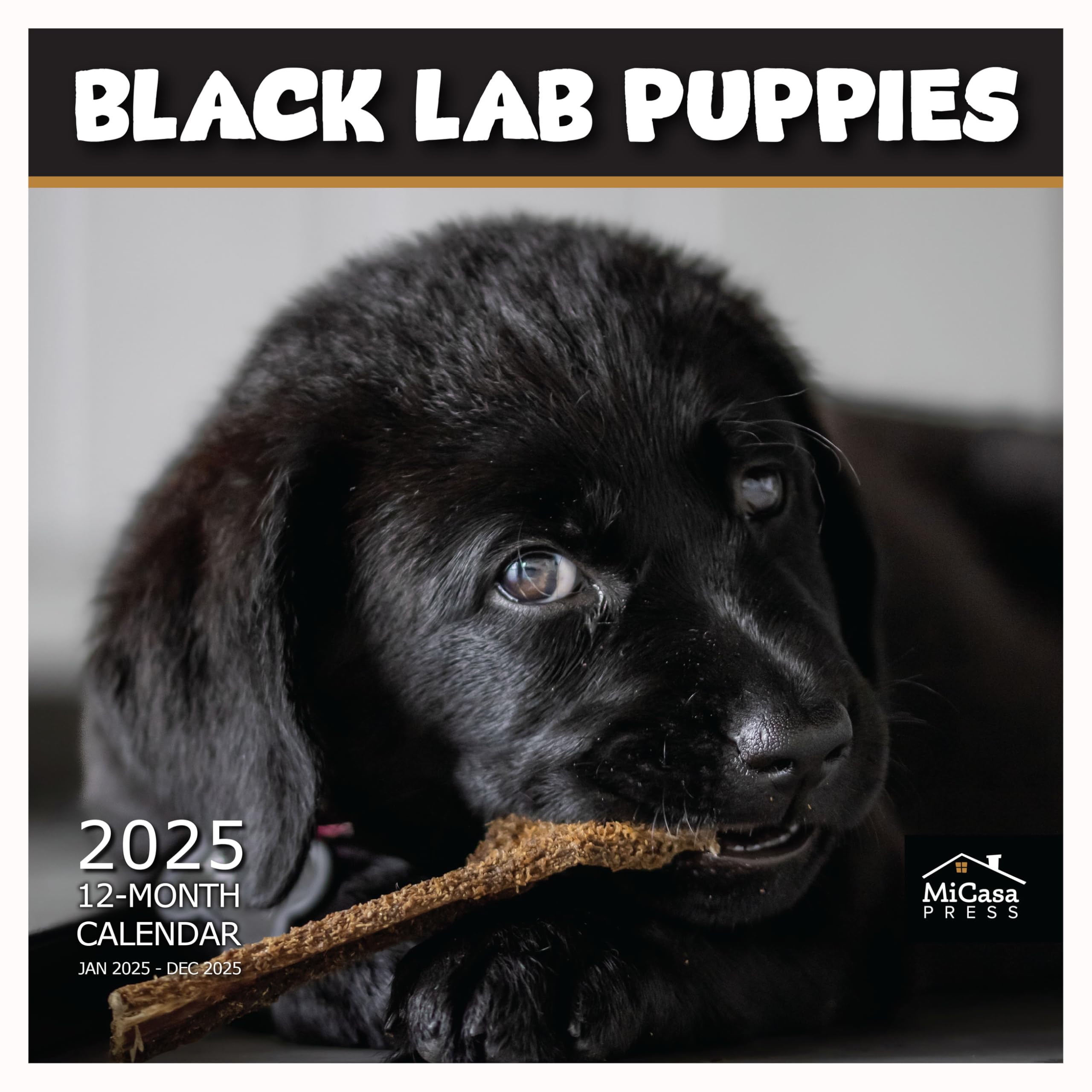 MICASA PRESS - Black Lab Puppies 2025 Wall Calendar 12 Month | 12" x 24" Open | Thick &amp; Sturdy Paper | Giftable | Calendar 2025