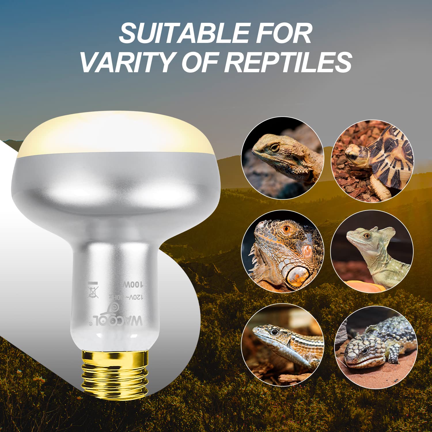 WACOOL 4 Pack Heat Lamp Bulbs for Reptiles, 100W Intense Basking Spot Lights, Simulate Daytime Sunshine Heat Bulbs, UVA Daylight Heat Lamp for Bearded Dragon, Lizard, Turtle, Tortoise, Gecko - image 6
