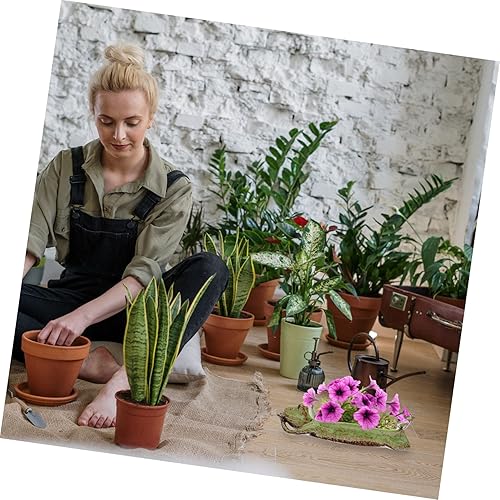 Miniatura 8 de HANABASS 1 taza de baratija jaula de pájaros pinzón decoración de agua joyería jabón de pájaros nueces aretes rojos plato de cuenca pulsera para