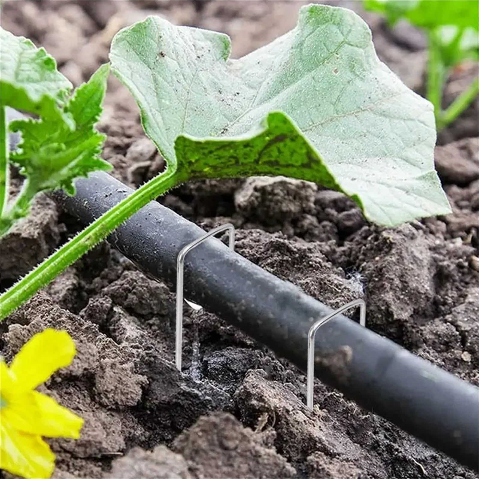 Picchetti da Giardino con Punta di Fissaggio a Forma U 200 Pezzi for perni Ancoraggio for zolle, Tubi irrigazione in Tessuto Che tengono la barriera del Prato per Giardini(4x10x0.3cm)