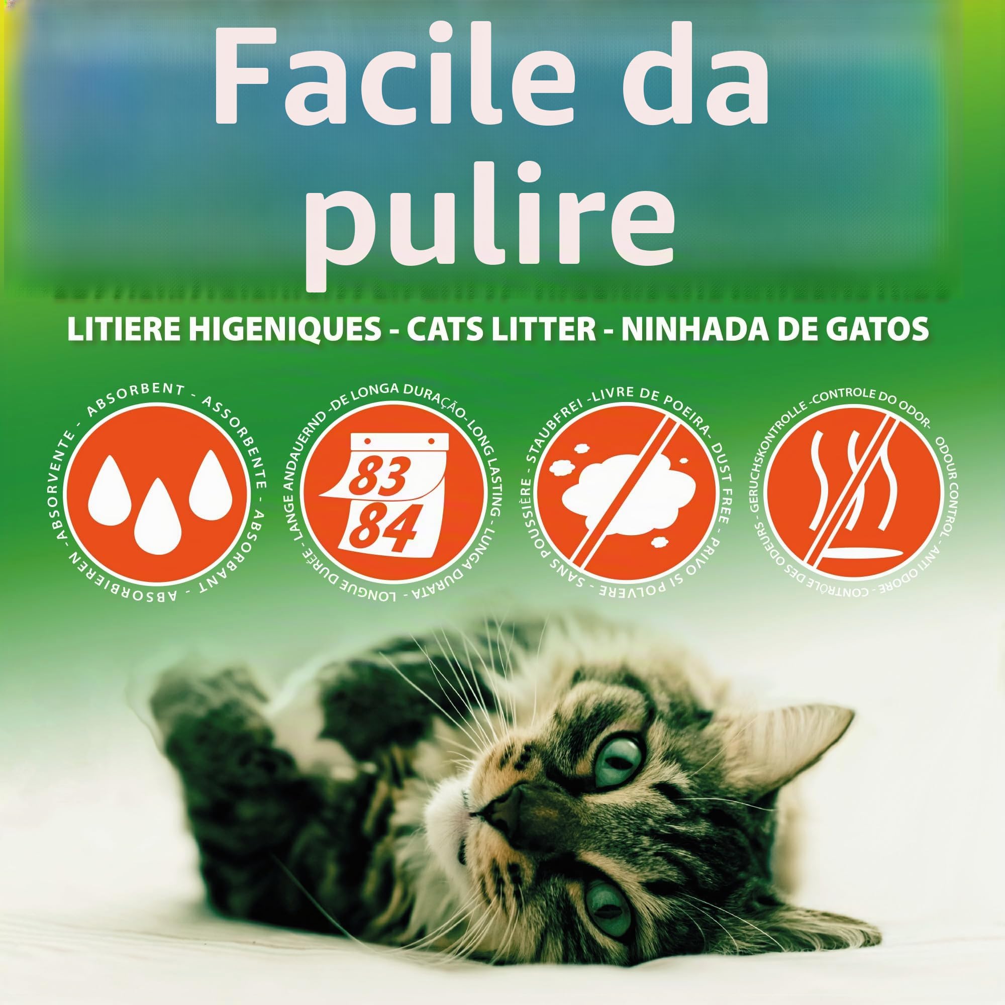 Croci Easy Clean - Lettiera Gatto Silicio - Sabbia Lettiera per Gatti in Cristalli di Silicio - Sabbietta Gatto ad Alto Assorbimento e Veloce da Pulire, 7,5 Lt