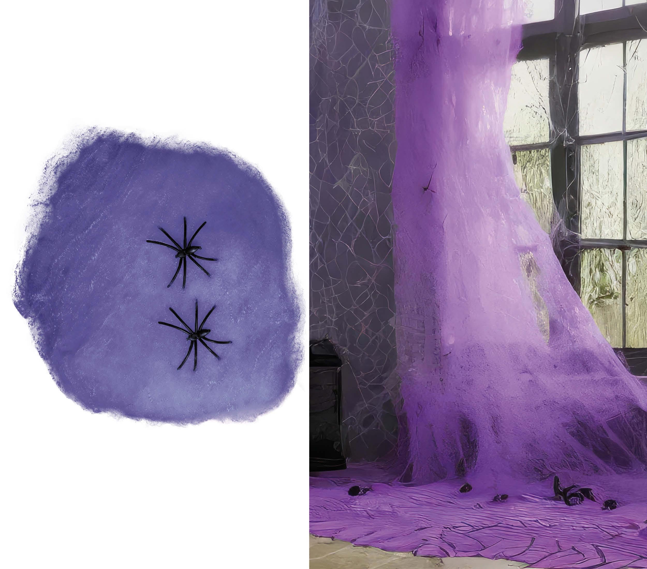 FIESTAS GUIRCA | Purple Spider Web (100 g) - Halloween and Fancy Dress Party Decoration - Animals and Insects - Ideal for Celebrations and Events - Purple