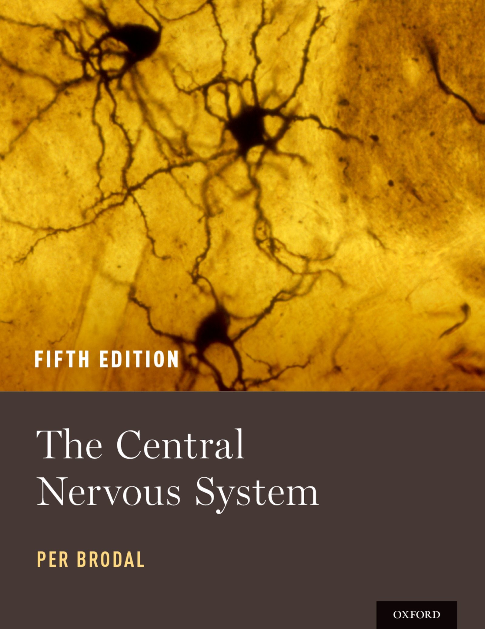 The Central Nervous System (English Edition)