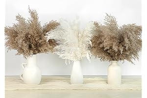 30 PCS Fluffy Pampas Grass, Natural Dry Pampas Grass Small, Dried Pampas...