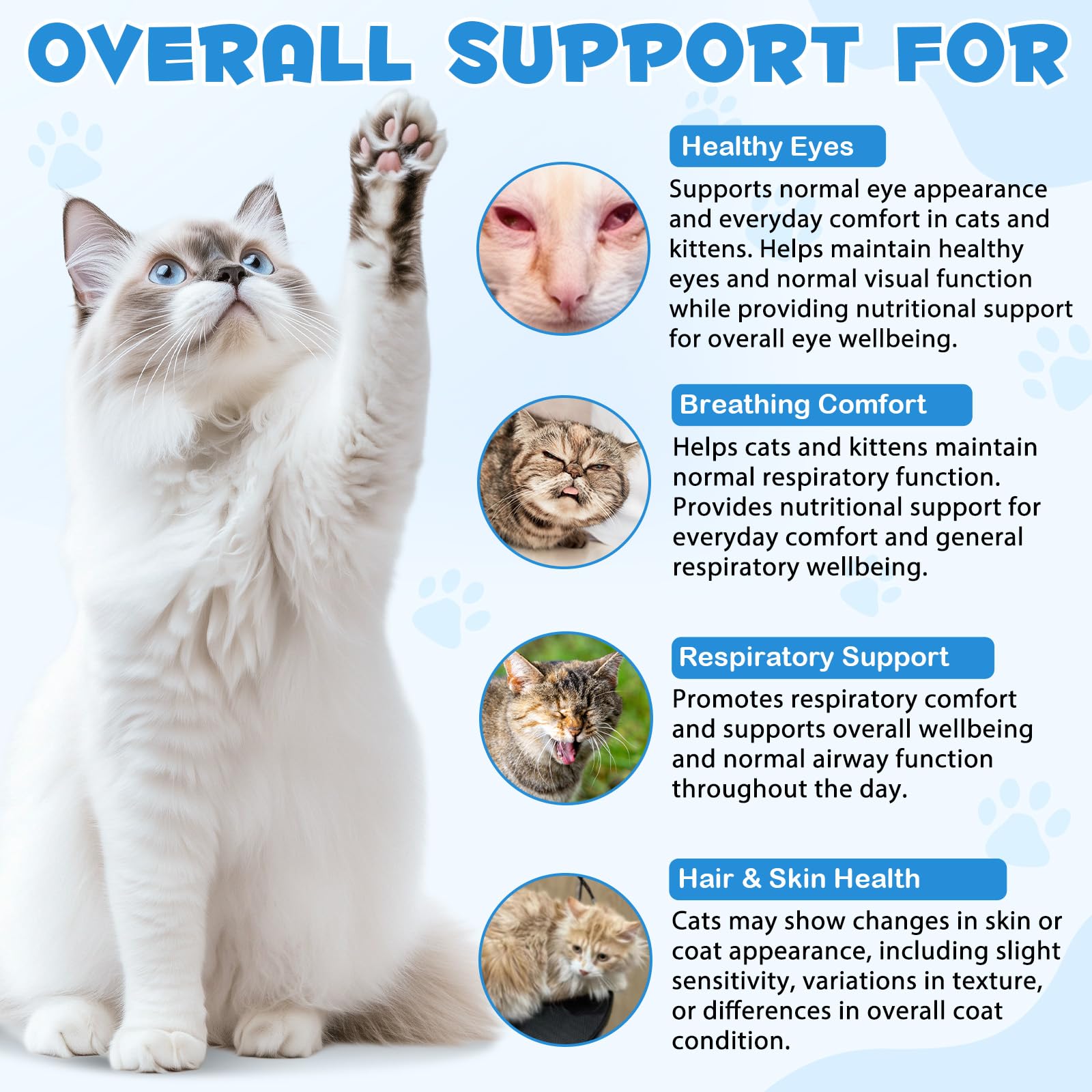 Lysin Cat - Gocce L-lisina per gatti, Supporta la salute del sistema immunitario, Allevia le allergie, favorisce la funzione respiratoria, mantiene la salute della pelle e del pelo 60 ml