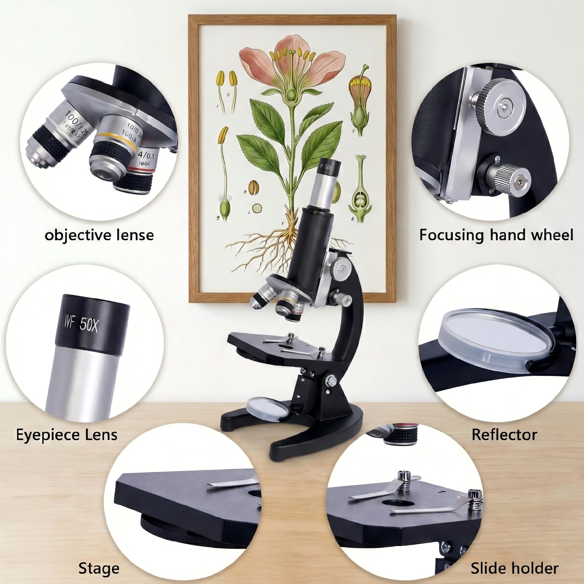 Microscopio, 200x-5000x composto biologico, microscopi con vetrini per microscopio, set di 6 adattatori moltiplicatori per telefono per adulti studenti, regali, microscopi biologici per l'educazione